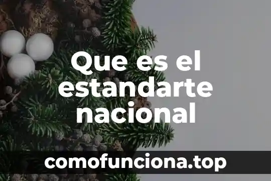 Que es m excel 5 Que es el estandarte nacional