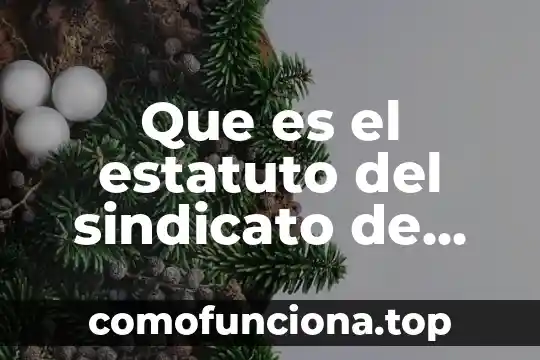 Block de que es historia 5 Que es el estatuto del sindicato de trabajadores de mazatlan