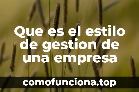 Qué es un diálogo en estilo directo 4 Que es el estilo de gestion de una empresa