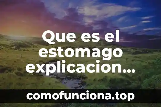 Que es un animal exotico explicación de un libro 5 Que es el estomago explicacion para niños