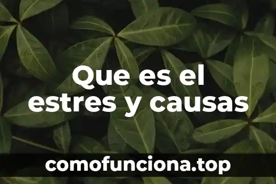 Refranes el que es buen gallo donde quiera canta significado 6 Que es el estres y causas