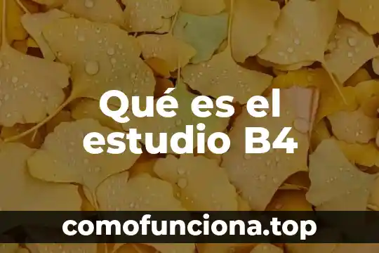 Significado de que es una gia de estudio 3 Qué es el estudio B4