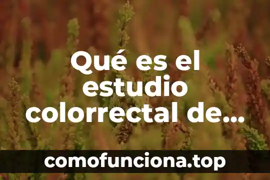 Qué es el comunismo en filosofía 7 Qué es el estudio colorrectal de tránsito