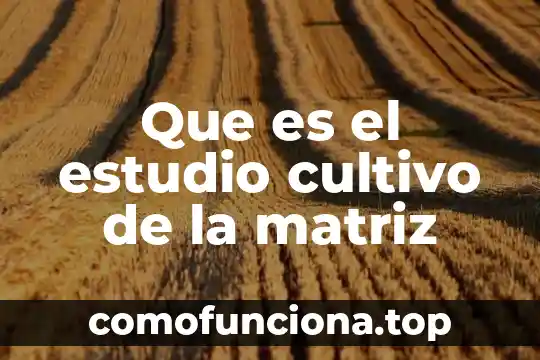 Significado de que es una gia de estudio 6 Que es el estudio cultivo de la matriz