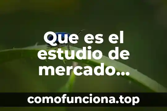 Qué es un diagnóstico preliminar en una investigación 6 Que es el estudio de mercado preliminar