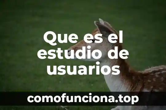 Que es el significado de chihuahua 5 Que es el estudio de usuarios