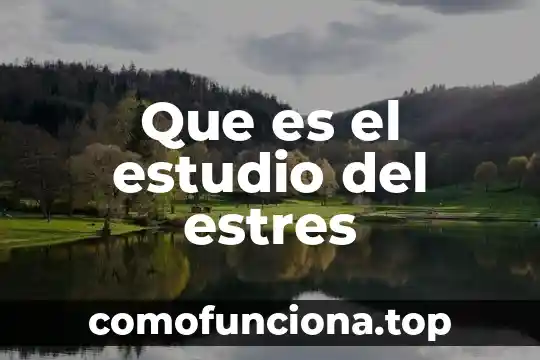 Qué es el movimiento mecánico 8 Que es el estudio del estres