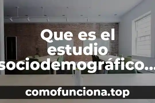 Que es una función de matemáticas 8 Que es el estudio sociodemográfico del mercado