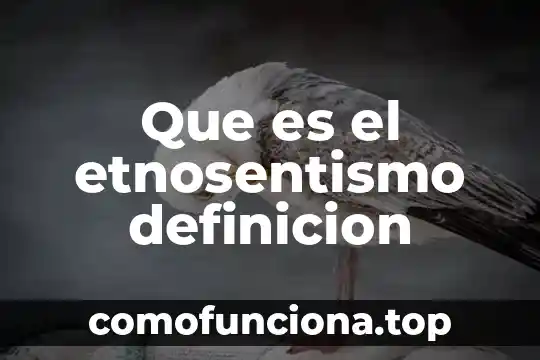Qué es definición de red 5 Que es el etnosentismo definicion
