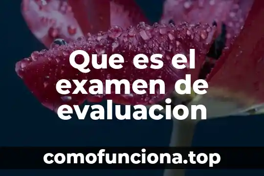 Que es evaluación del conocimiento en una competencia 8 Que es el examen de evaluacion