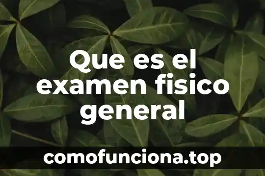 Que es cuentra patrimonio en un balance general 4 Que es el examen fisico general