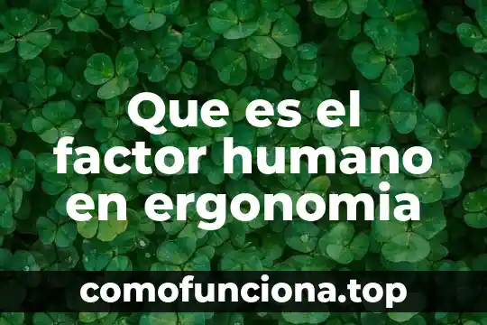 Que es el fenotipo humano 3 Que es el factor humano en ergonomia