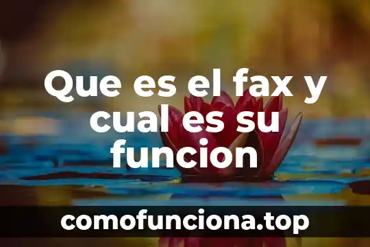 Qué es una función identidad y sus propiedades 7 Que es el fax y cual es su funcion