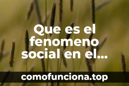 Que es un insecto social 5 Que es el fenomeno social en el derecho