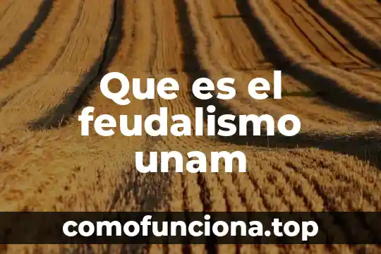 Para que es la hoja de datos estadísticos unam 3 Que es el feudalismo unam