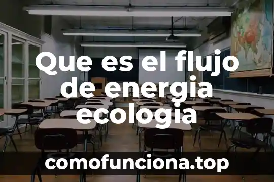 Que es seia ecologia mexico 8 Que es el flujo de energia ecologia