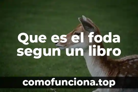 Que es la sociedad segun talcott parsons 3 Que es el foda segun un libro