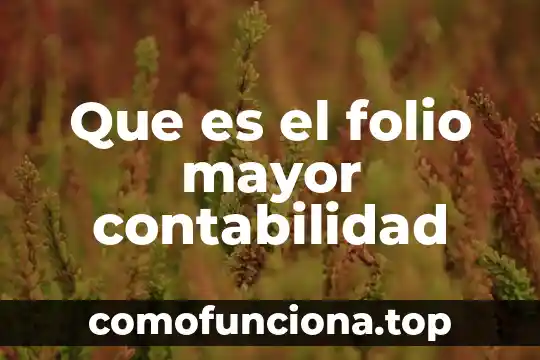 Que es la formulacion en contabilidad 7 Que es el folio mayor contabilidad