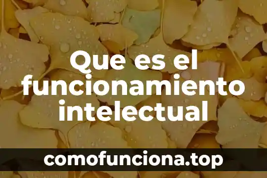 Que es un semaforo y funcionamiento 3 Que es el funcionamiento intelectual