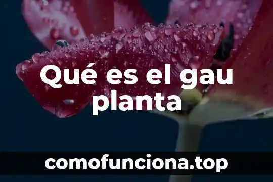 Que es una planta salinera 6 Qué es el gau planta