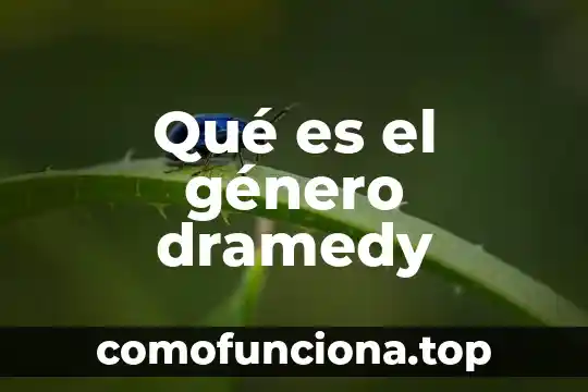 Qué es el género pop latino 3 Qué es el género dramedy