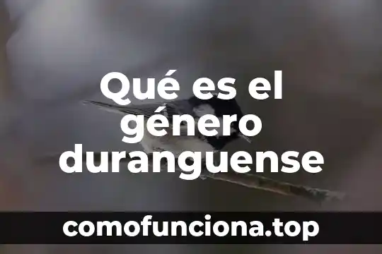 Qué es el género polca latino 8 Qué es el género duranguense