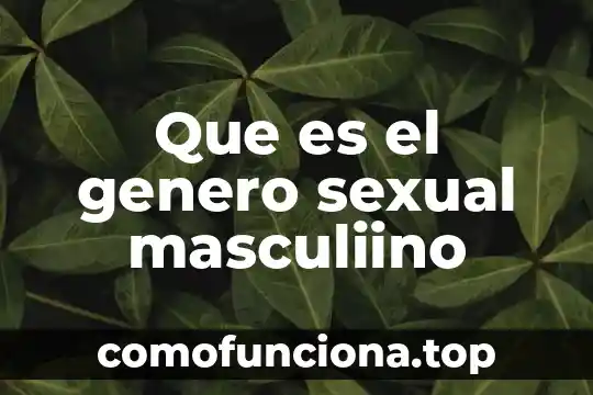 Qué es el género pop latino 8 Que es el genero sexual masculiino