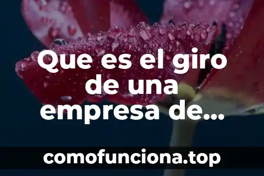 Que es un tecnico en tratamientos de agua 4 Que es el giro de una empresa de agua