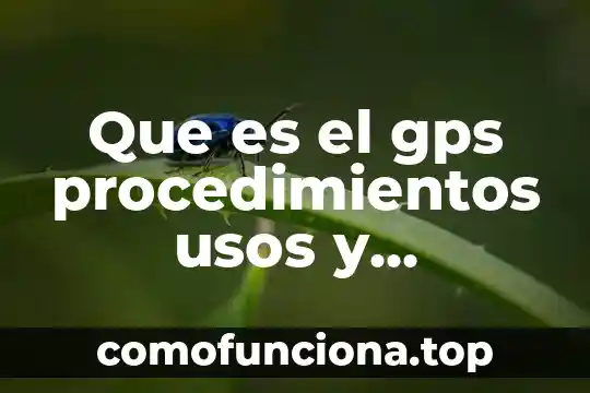 Que es conocimiento intuitivo diccionario 4 Que es el gps procedimientos usos y aplicaciones