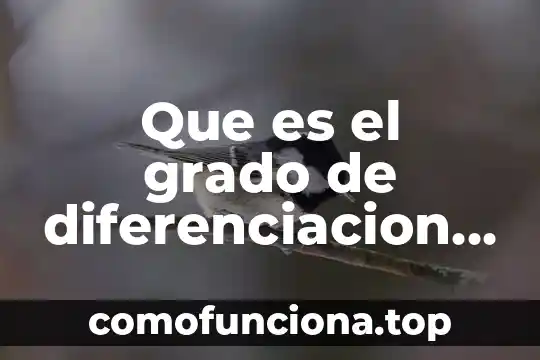 Que es una accion en una sociedad de inversion 7 Que es el grado de diferenciacion de proyectos de inversion