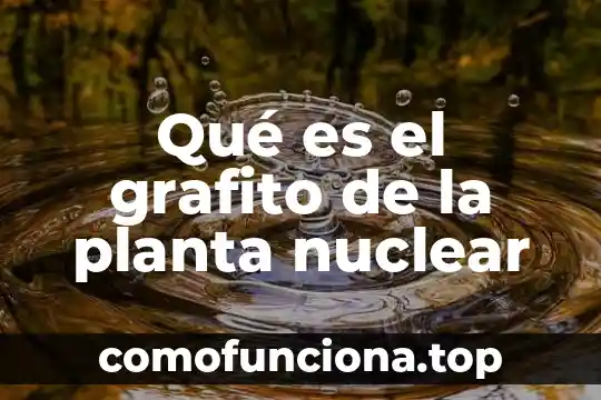 Que es el nucleo de una planta nuclear 6 Qué es el grafito de la planta nuclear