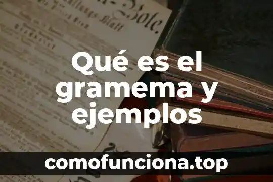 Que es la solidaridad en la sociedad ejemplos 8 Qué es el gramema y ejemplos