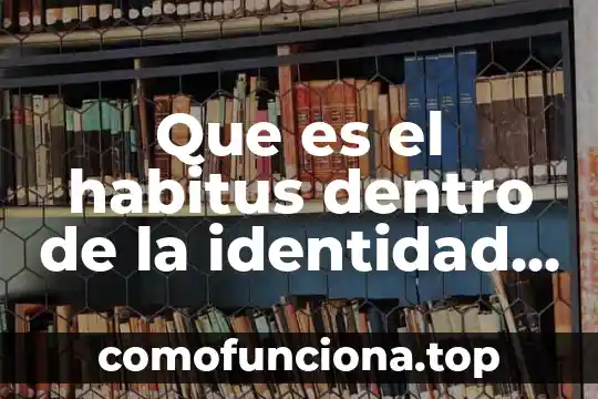 Que es un nemotécnico en programacion 4 Que es el habitus dentro de la identidad personal