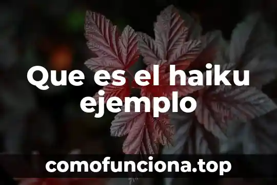 Que es una poliza contable ejemplo 7 Que es el haiku ejemplo