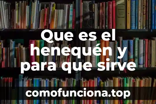 Que es el signo de admiracion y para que sirve 8 Que es el henequén y para que sirve