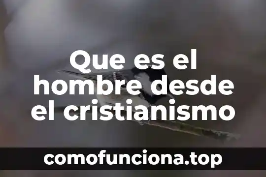 Concepto antropológico de qué es el hombre 7 Que es el hombre desde el cristianismo