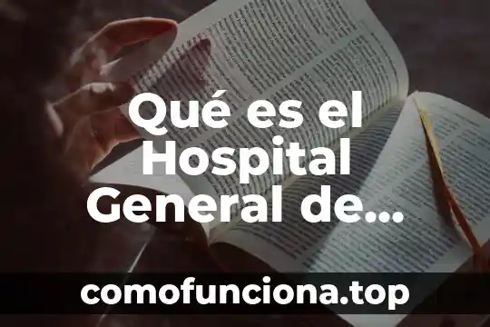 Que es cuentra patrimonio en un balance general 7 Qué es el Hospital General de Occidente Zoquiapan