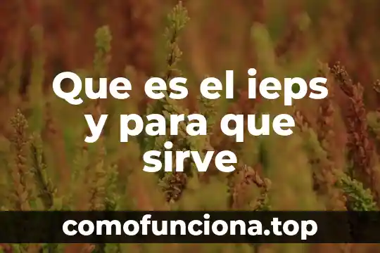 Que es el ieps y en que articulos 5 Que es el ieps y para que sirve