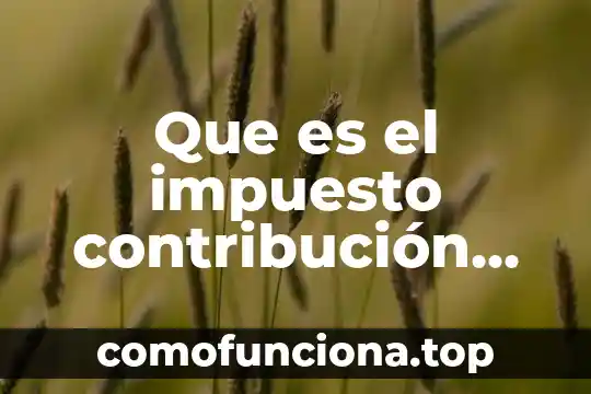 Que es una consultora de relaciones publicas 7 Que es el impuesto contribución de mejoras por obras públicas