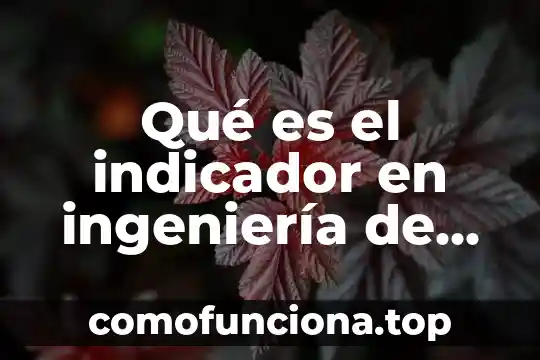 En ingenieria de software que es un programa 8 Qué es el indicador en ingeniería de proyectos