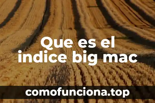 Que es un indice de refraccion microbiologia 4 Que es el indice big mac