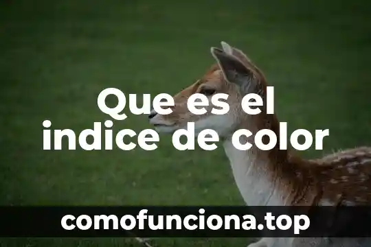 Que es un indice de refraccion microbiologia 7 Que es el indice de color