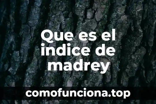 Que es un indice de refraccion microbiologia 6 Que es el indice de madrey