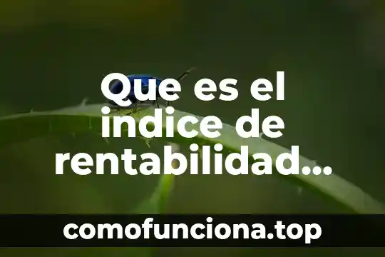 Que es una planeacion administrativa y financiera 5 Que es el indice de rentabilidad financiera