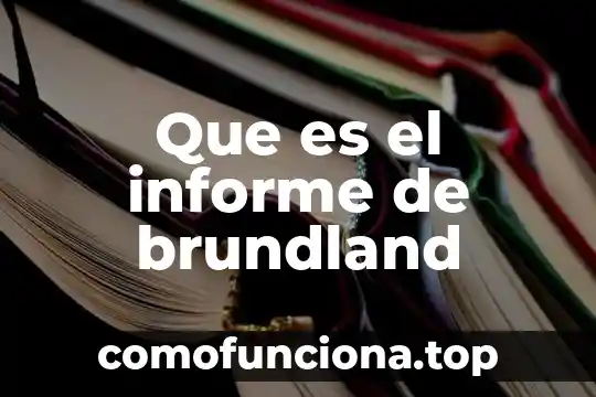 Que es informe cualitativo y cuantitativo 5 Que es el informe de brundland