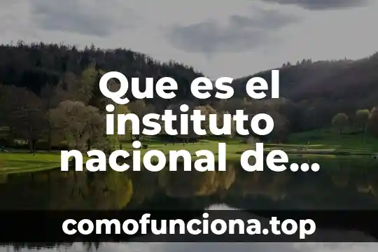 Que es arquitectura segun instituto de arquitecto 3 Que es el instituto nacional de transparencia