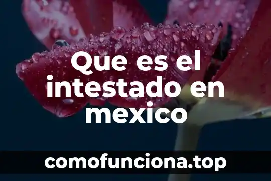 Qué es influencia estacional concepto 8 Que es el intestado en mexico