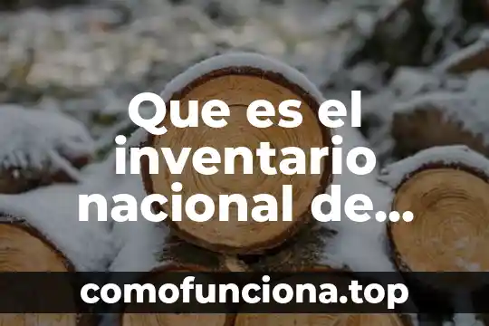 Significado de que es un problema a nivel nacional 6 Que es el inventario nacional de viviendas