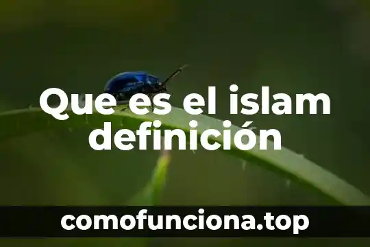 Qué es MDN definición 5 Que es el islam definición