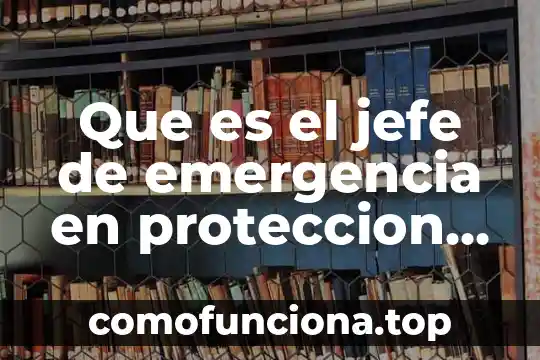 Que es un instructivo de emergencia significado 7 Que es el jefe de emergencia en proteccion civil